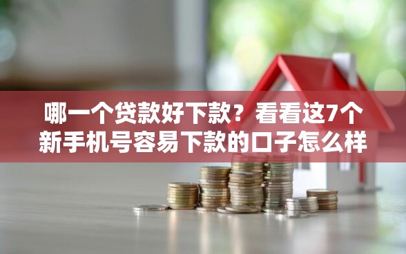 哪一个贷款好下款？看看这7个新手机号容易下款的口子怎么样