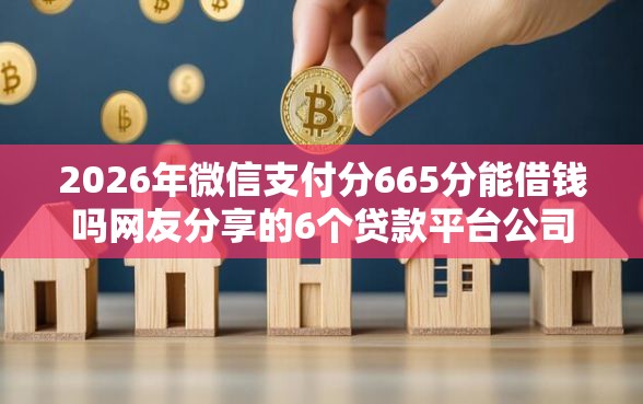2026年微信支付分665分能借钱吗网友分享的6个贷款平台公司我觉得不错！