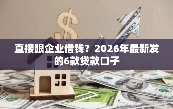 直接跟企业借钱？2026年最新发的6款贷款口子