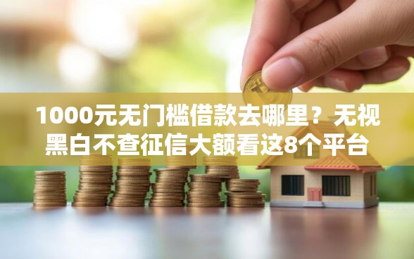 1000元无门槛借款去哪里？无视黑白不查征信大额看这8个平台