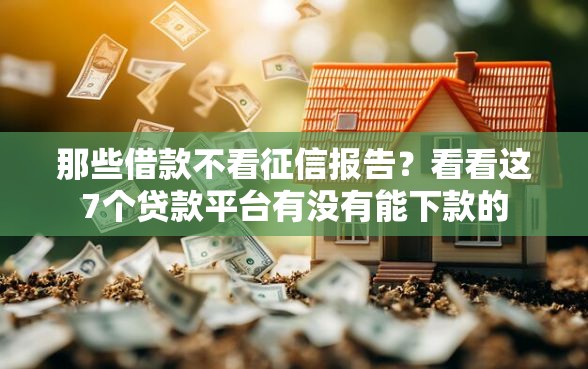 那些借款不看征信报告？看看这7个贷款平台有没有能下款的