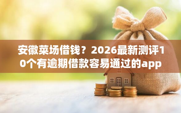 安徽菜场借钱？2026最新测评10个有逾期借款容易通过的app