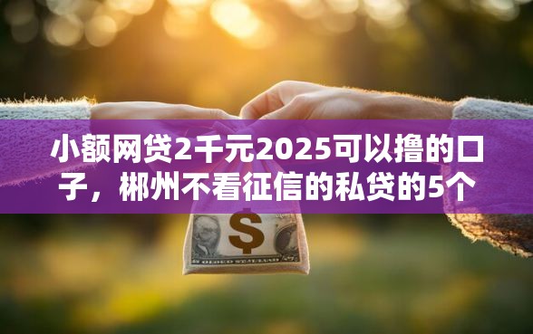 小额网贷2千元2025可以撸的口子，郴州不看征信的私贷的5个平台介绍