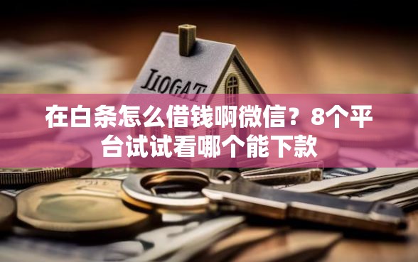 在白条怎么借钱啊微信？8个平台试试看哪个能下款