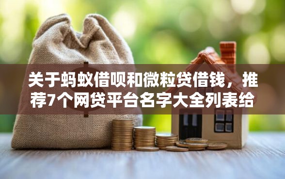 关于蚂蚁借呗和微粒贷借钱，推荐7个网贷平台名字大全列表给你