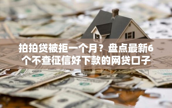 拍拍贷被拒一个月？盘点最新6个不查征信好下款的网贷口子
