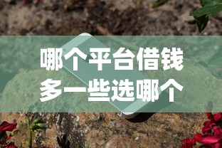 哪个平台借钱多一些选哪个平台？8个放水app推荐