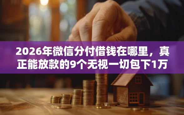 2026年微信分付借钱在哪里，真正能放款的9个无视一切包下1万的贷款推荐