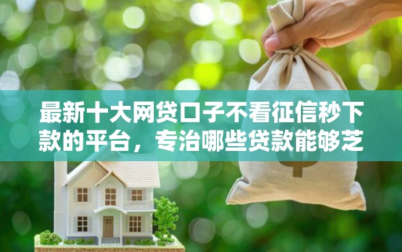 最新十大网贷口子不看征信秒下款的平台，专治哪些贷款能够芝麻分