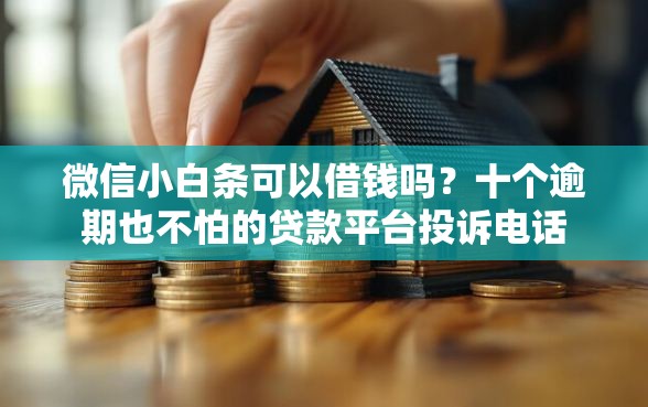 微信小白条可以借钱吗？十个逾期也不怕的贷款平台投诉电话