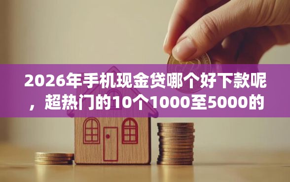 2026年手机现金贷哪个好下款呢，超热门的10个1000至5000的小额贷款app推荐