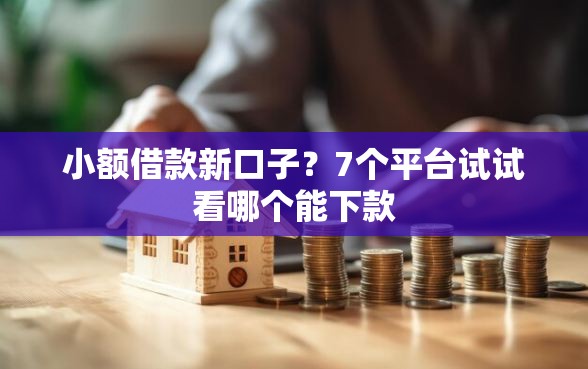 小额借款新口子？7个平台试试看哪个能下款