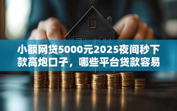 小额网贷5000元2025夜间秒下款高炮口子，哪些平台贷款容易通过的5个平台介绍