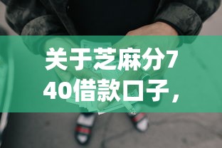关于芝麻分740借款口子，推荐7个5个黑户可以借款的网贷app给你