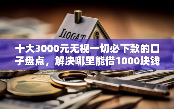 十大3000元无视一切必下款的口子盘点，解决哪里能借1000块钱的问题