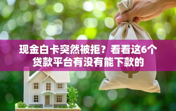 现金白卡突然被拒？看看这6个贷款平台有没有能下款的