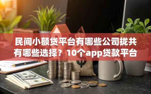 民间小额贷平台有哪些公司拢共有哪些选择？10个app贷款平台详解