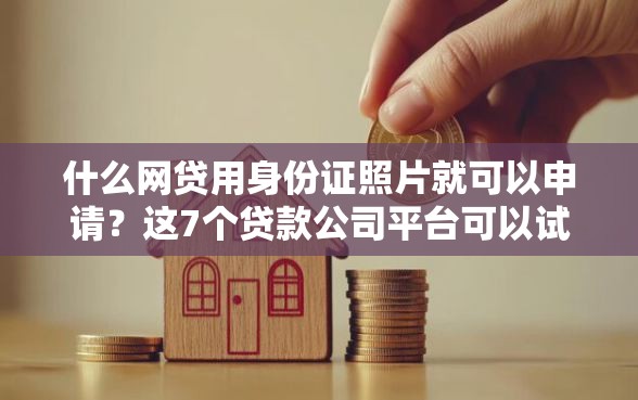 什么网贷用身份证照片就可以申请？这7个贷款公司平台可以试试