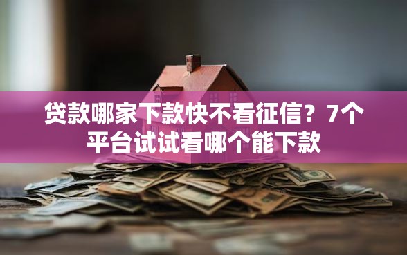 贷款哪家下款快不看征信？7个平台试试看哪个能下款
