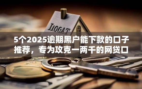 5个2025逾期黑户能下款的口子推荐，专为攻克一两千的网贷口子难题