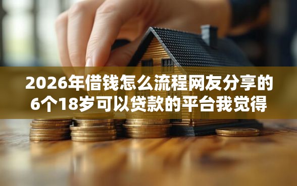 2026年借钱怎么流程网友分享的6个18岁可以贷款的平台我觉得不错！