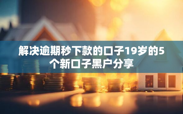 解决逾期秒下款的口子19岁的5个新口子黑户分享