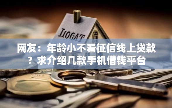 网友：年龄小不看征信线上贷款？求介绍几款手机借钱平台