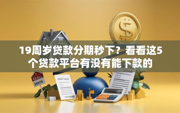 19周岁贷款分期秒下？看看这5个贷款平台有没有能下款的