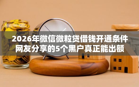2026年微信微粒贷借钱开通条件网友分享的5个黑户真正能出额度的软件我觉得不错！