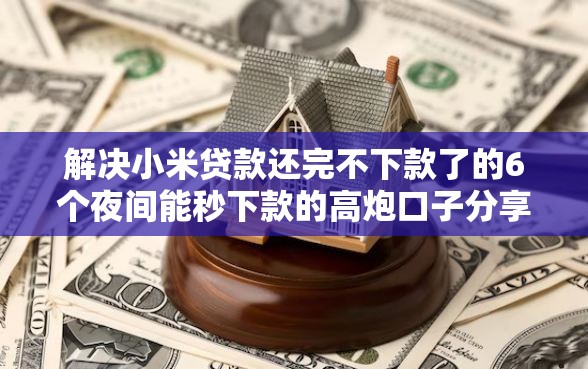 解决小米贷款还完不下款了的6个夜间能秒下款的高炮口子分享