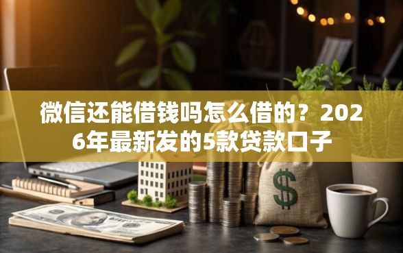微信还能借钱吗怎么借的？2026年最新发的5款贷款口子