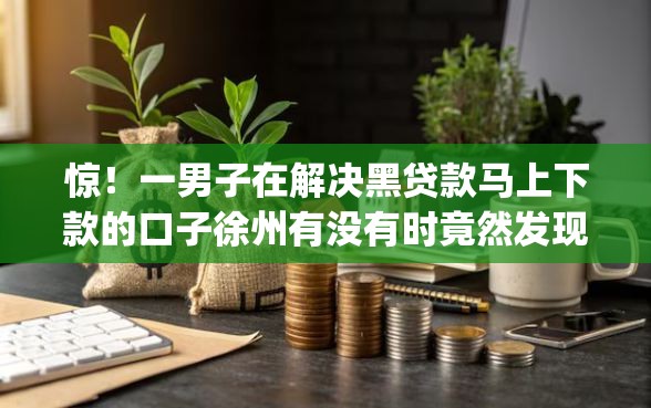 惊！一男子在解决黑贷款马上下款的口子徐州有没有时竟然发现6个借款无视黑白无视年龄100%秒过app，事后分享了出来