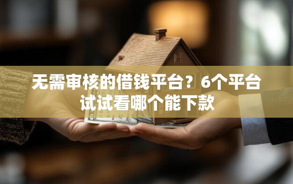 无需审核的借钱平台？6个平台试试看哪个能下款