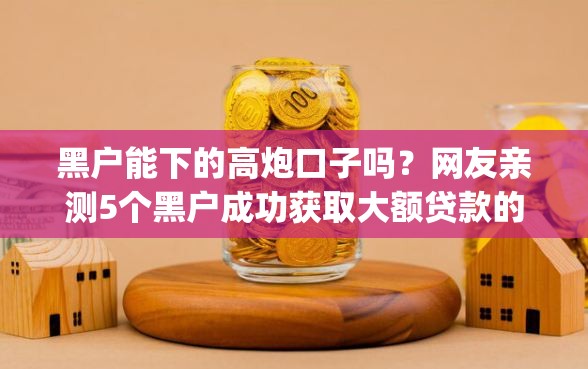 黑户能下的高炮口子吗？网友亲测5个黑户成功获取大额贷款的app盘点