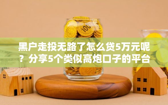 黑户走投无路了怎么贷5万元呢？分享5个类似高炮口子的平台