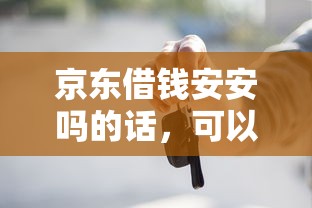 京东借钱安安吗的话，可以看看这5个车辆抵押贷款正规平台