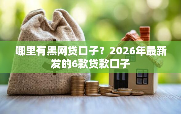 哪里有黑网贷口子？2026年最新发的6款贷款口子