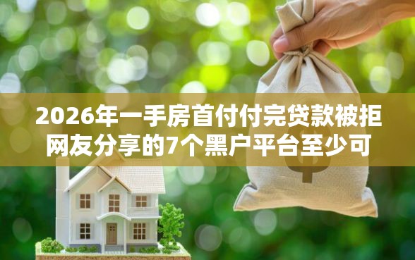 2026年一手房首付付完贷款被拒网友分享的7个黑户平台至少可以借三万那种我觉得不错！