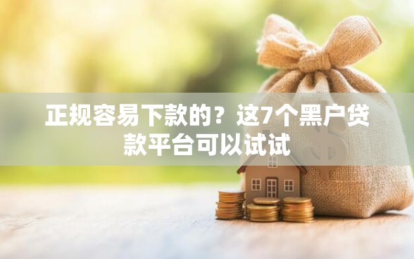 正规容易下款的？这7个黑户贷款平台可以试试