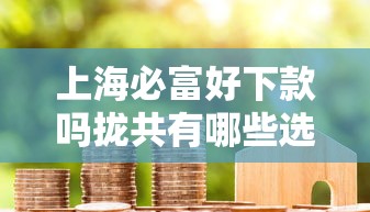 上海必富好下款吗拢共有哪些选择？7个良心的贷款平台详解