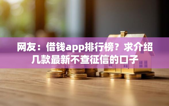 网友：借钱app排行榜？求介绍几款最新不查征信的口子
