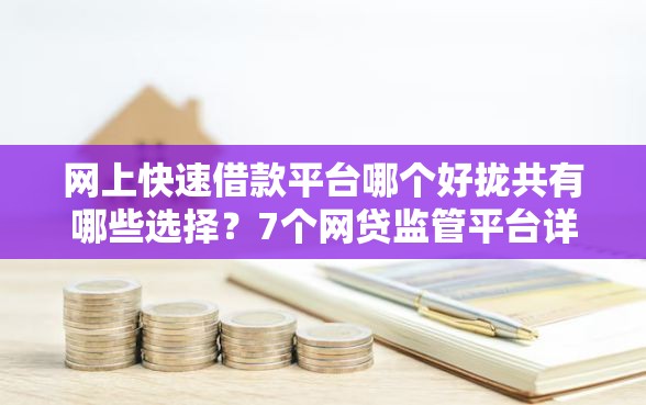 网上快速借款平台哪个好拢共有哪些选择？7个网贷监管平台详解