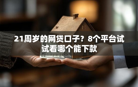 21周岁的网贷口子？8个平台试试看哪个能下款