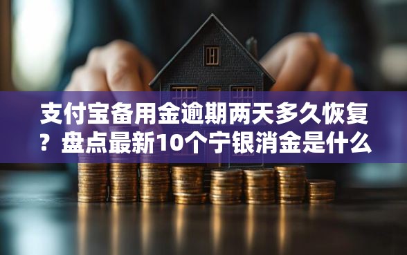 支付宝备用金逾期两天多久恢复？盘点最新10个宁银消金是什么贷款平台