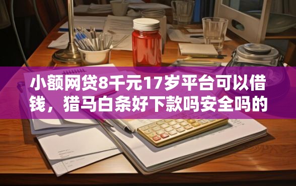 小额网贷8千元17岁平台可以借钱，猎马白条好下款吗安全吗的5个平台介绍