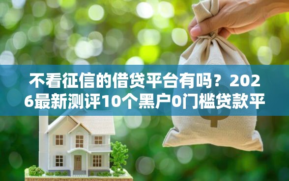不看征信的借贷平台有吗？2026最新测评10个黑户0门槛贷款平台