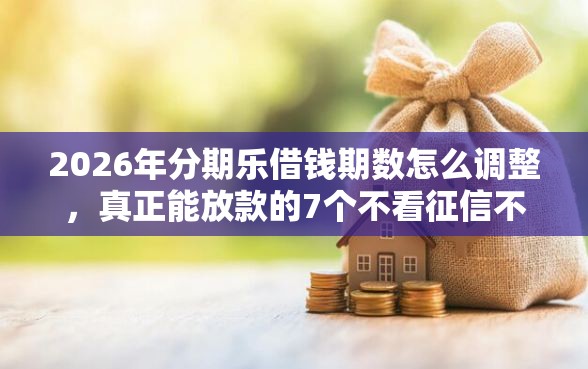 2026年分期乐借钱期数怎么调整，真正能放款的7个不看征信不看综合评估的借款平台推荐