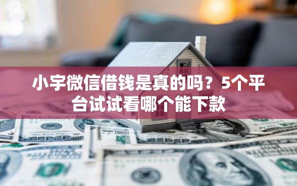 小宇微信借钱是真的吗？5个平台试试看哪个能下款
