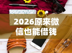 2026原来微信也能借钱，差5000元就选这5个平台