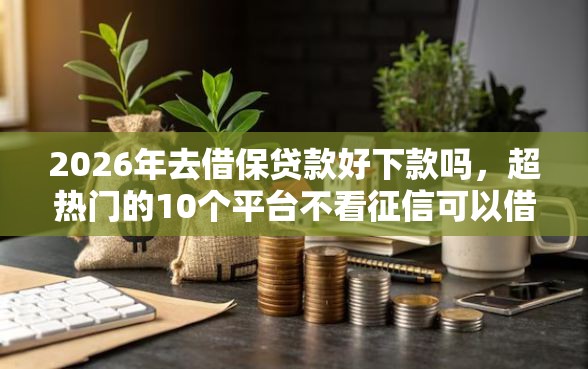 2026年去借保贷款好下款吗，超热门的10个平台不看征信可以借到钱推荐